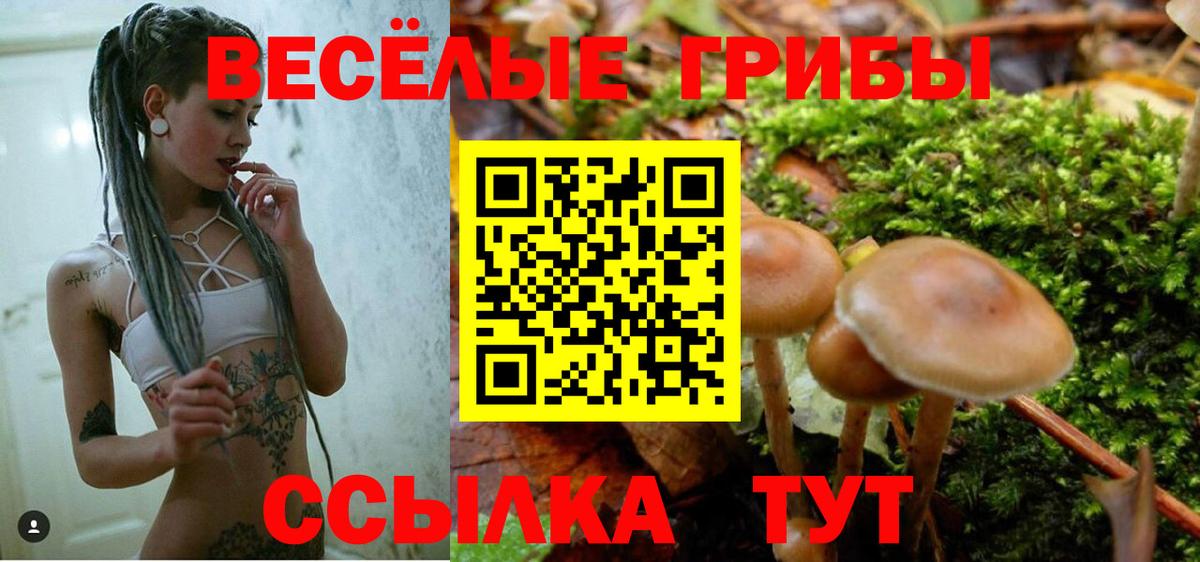 Галлюциногенные грибы Psilocybine cubensis  Вход с VPN  Орехово-Зуево 